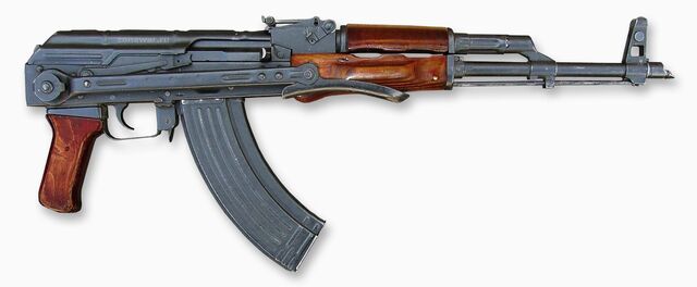 Файл:Акмс2.jpg