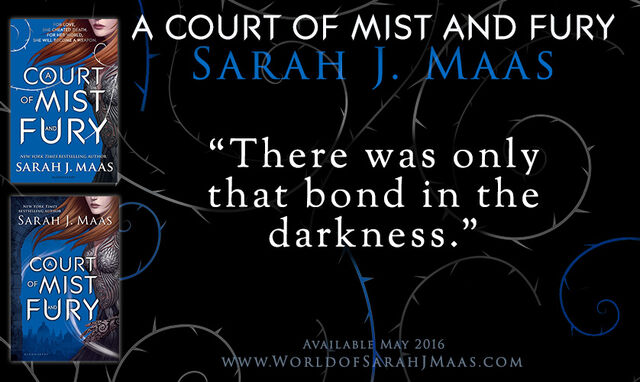File:ACOMAF Quote 1.jpg