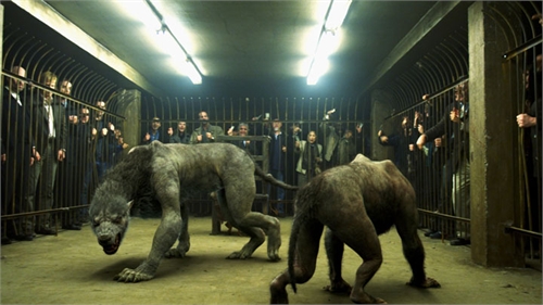File:Aiden in the Arena.jpg