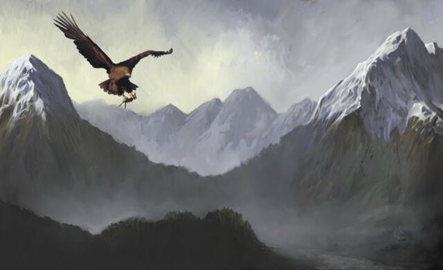 File:Flying.jpg