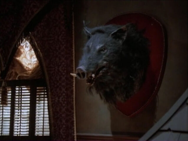 File:Afn snuffles cleo.jpg