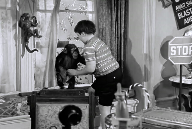 File:Af pugsleys room chimp.jpg