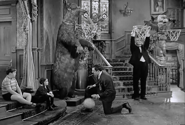File:Af bear winning.jpg