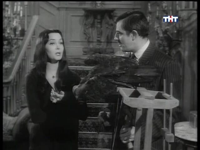 File:57.Morticia the Decorator 039.jpg