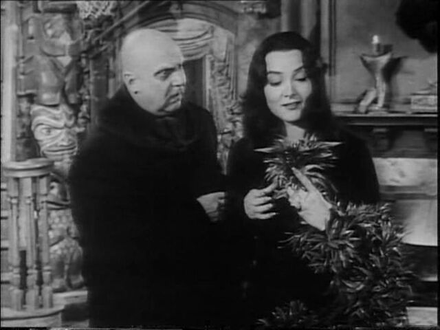 File:34.The.Winning.of.Morticia.Addams 020.jpg