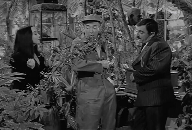 File:Af cleo undercover.jpg