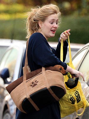 File:Adele-300.jpg