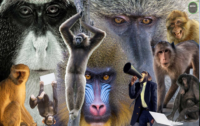 File:Millionmonkeys.jpg