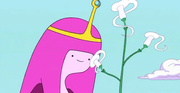 Gommarosa 2.png