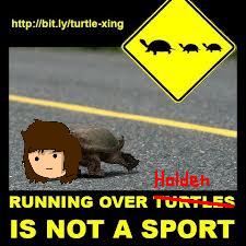 File:Holden is a turtle.JPG