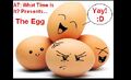 Thumbnail for version as of 17:32, January 28, 2012