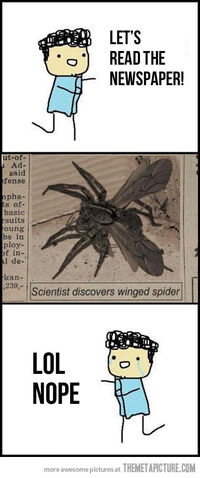 File:Funny-flying-spider-wings.jpg