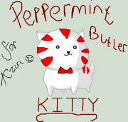 Peppermint kitty