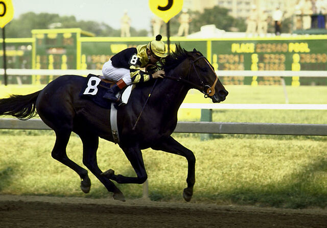 File:Seattle-Slew.jpg