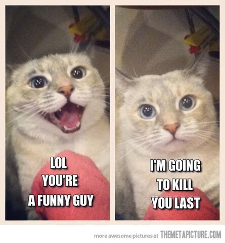 File:Funny-cat-laughing-evil.jpg