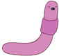 Shelby The Worm Who Lives in Jake's Viola
