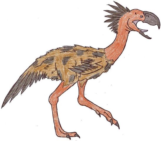 File:Phorusrhacos Female.jpg
