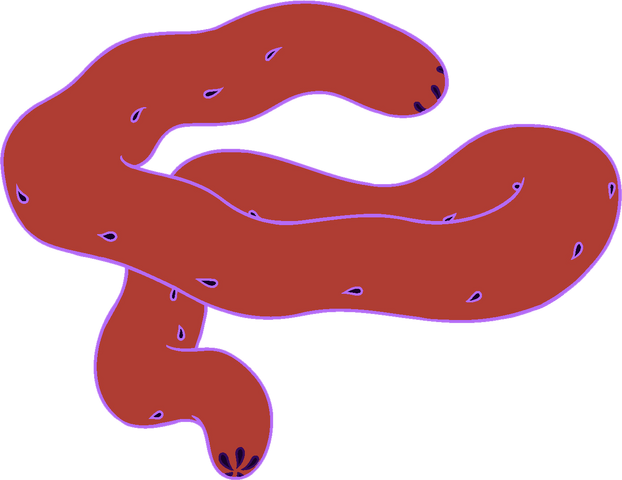 File:Spirit -5.png