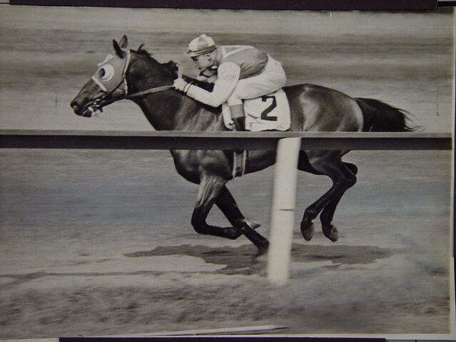 File:Seabiscuit.jpg