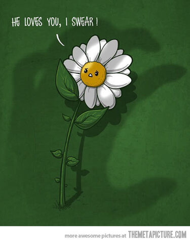 File:Funny-scared-flower-daisy.jpg