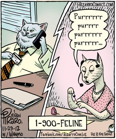 File:Bizarro comics cat.jpg