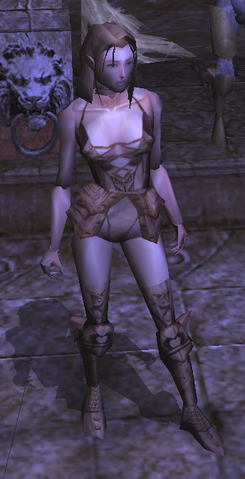 File:Princess Amraphenneset's Platemail view.png