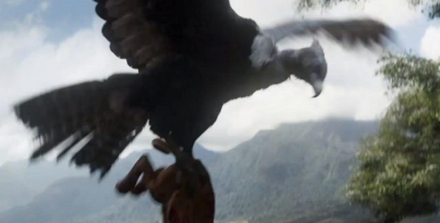 File:Future Condor.png