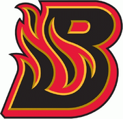 BloomingtonBlaze