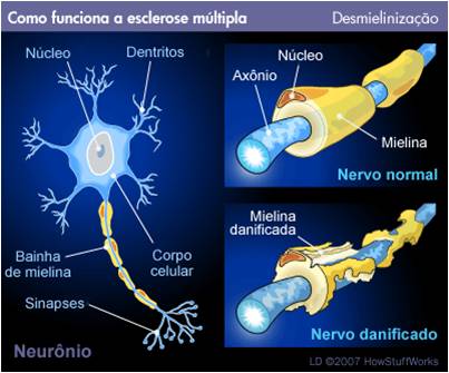 Imagem2.jpg