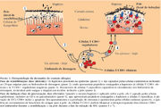 A03fig01.jpg