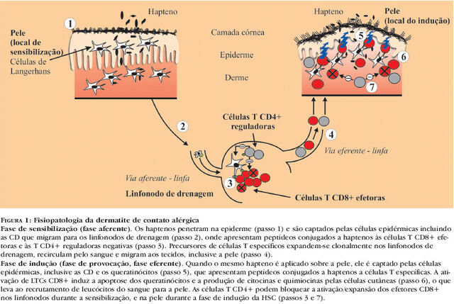 Arquivo:A03fig01.jpg