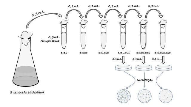 Arquivo:Tecnica-diluic3a7c3a3o-seriada.jpg