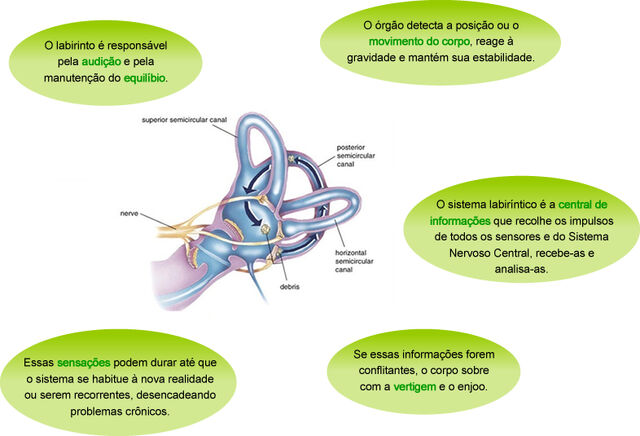 Arquivo:Labirinto-imagem.jpg