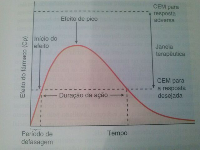Arquivo:CAM00151.jpg