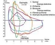 Curva fluxo volume.jpg