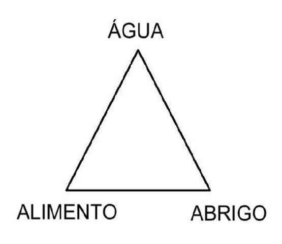 Arquivo:Triângulo Biológico.jpg