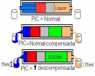 HIC 6.jpg