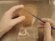 AGAR.jpg