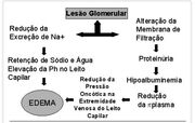Edema 2.jpg
