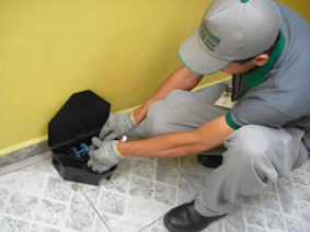 Ratos - controle.png