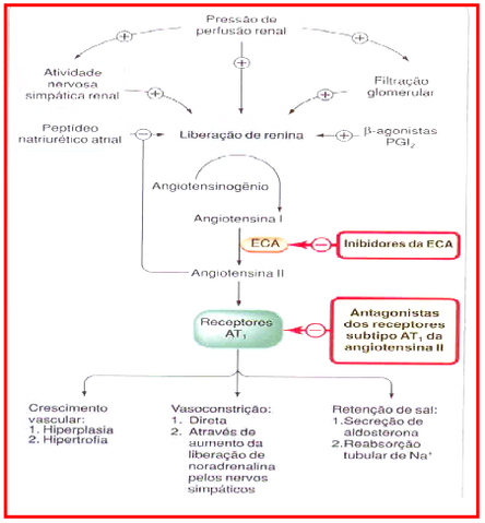 Arquivo:Farmaco12.png
