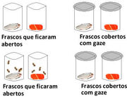 Experimento-de-redi(2).jpg