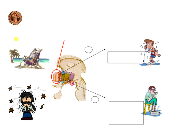Arquivo:Wikia4bim3.png