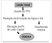 Edema.jpg