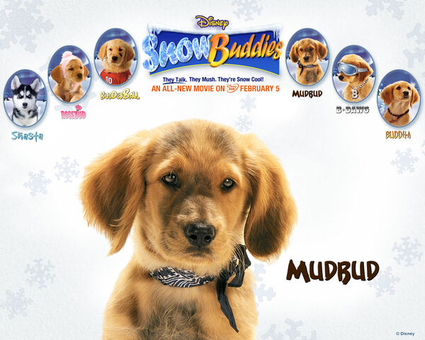 File:Snow buddies mudbud.jpg