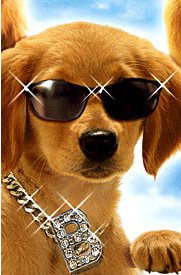 File:B-Dawg.png
