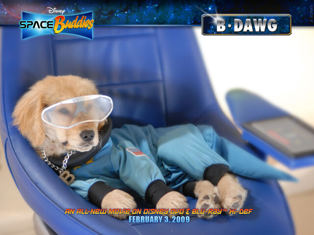 File:Bdawg 1600x1200.jpg