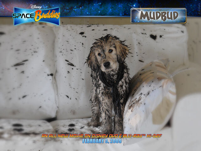 File:Mudbud 1600x1200.jpg