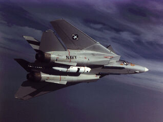 F-14 TARPS