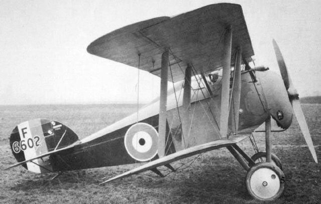 File:Salamander-2.jpg